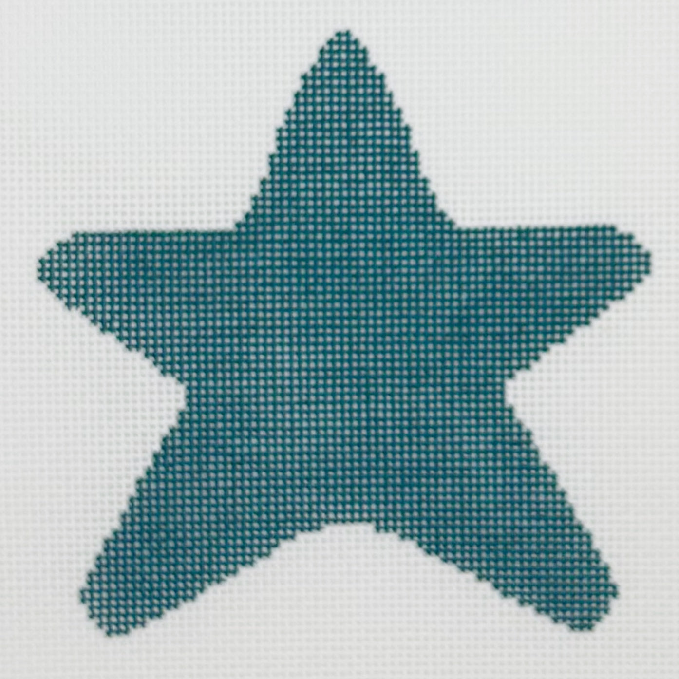 Star Kingfisher with Stitch Guide - BW272