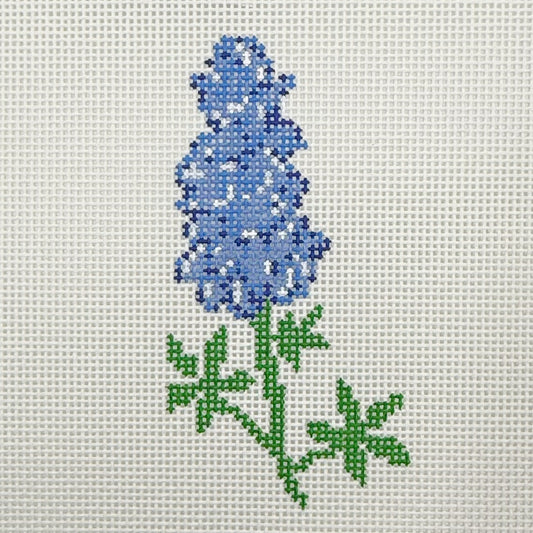 Texas Blue Bonnet - BW2255NBL