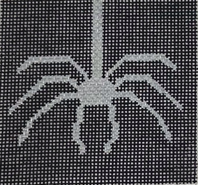 Coaster Spider - BW147