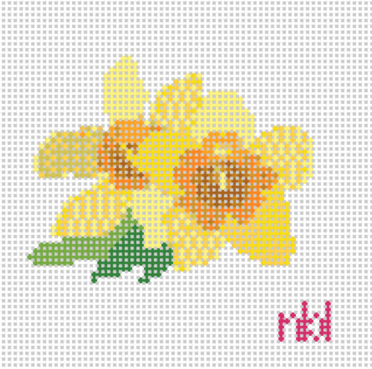 Daffodil - BW2022NBL