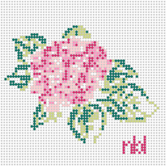 Hydrangea - BW2024NBL