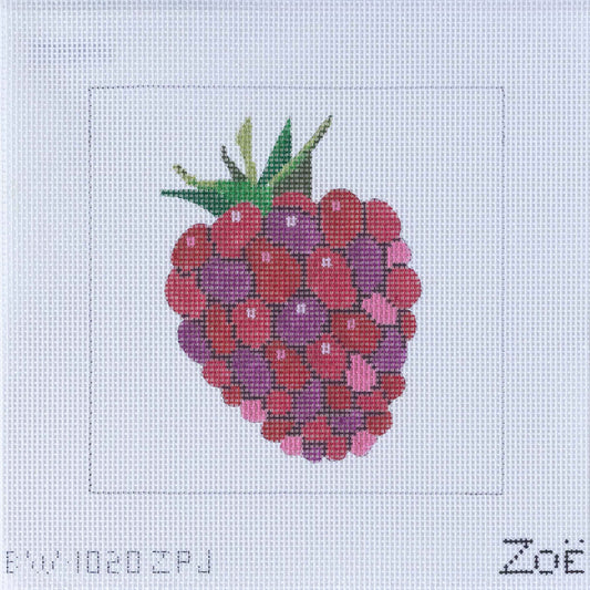 Raspberry Kit- BW1020ZPJ