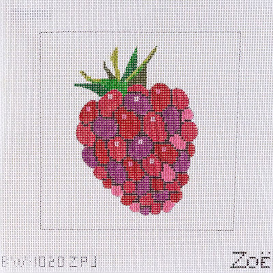 Raspberry Kit- BW1020ZPJ